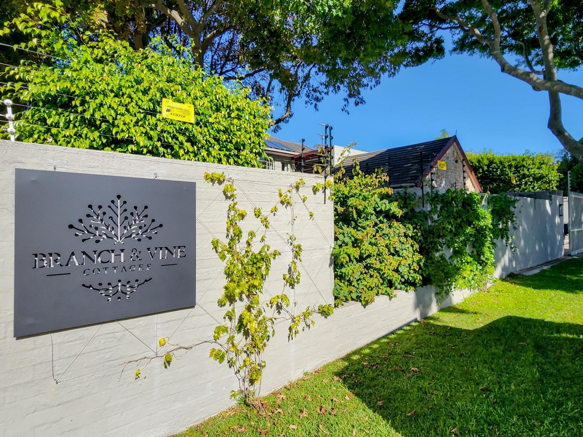 Branch & Vine Cottages - Constantia - Formerly Pinoak Cottages Kaapstad Buitenkant foto